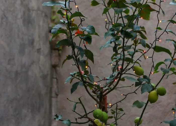 Lemon Garden Вілла *