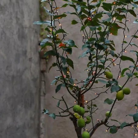 Lemon Garden Villa *